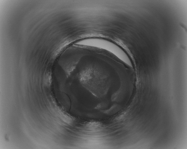 X0000099380063200805221816