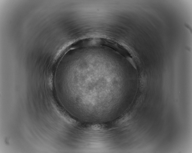 X0000099380064200805221816