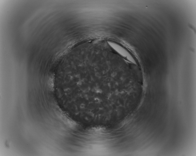 X0000099380065200805221816