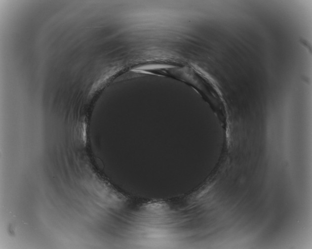 X0000099380067200805221816