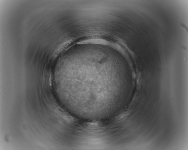 X0000099380068200805221816