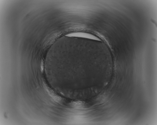 X0000099380069200805221816