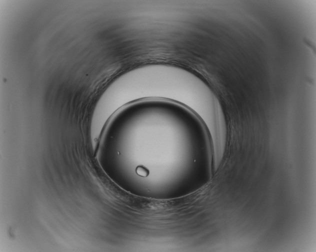 X0000099380070200805221816