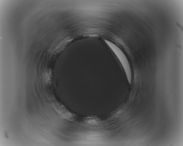 X0000099380073200805221816