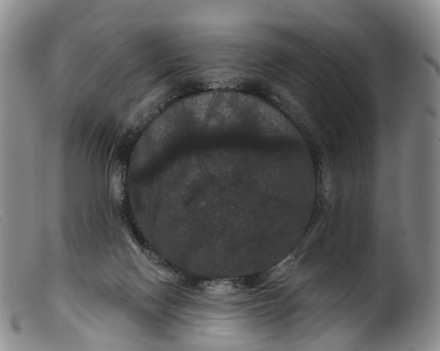 X0000099380074200805221816