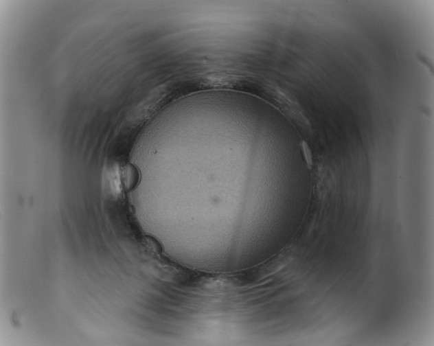 X0000099380075200805221816