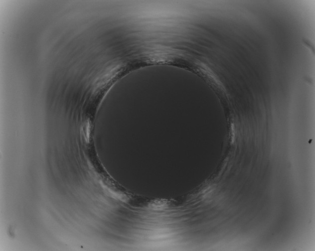 X0000099380076200805221816