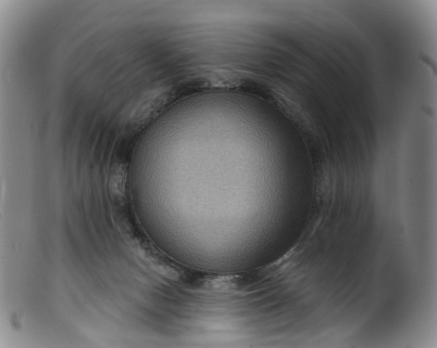 X0000099380078200805221816