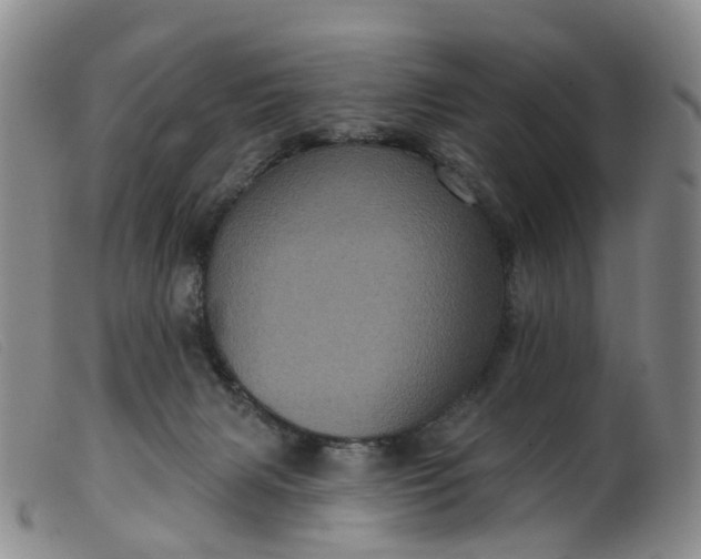 X0000099380079200805221816