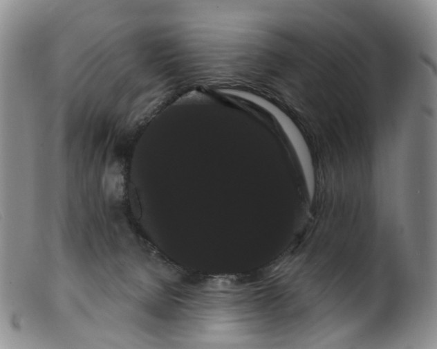 X0000099380080200805221816