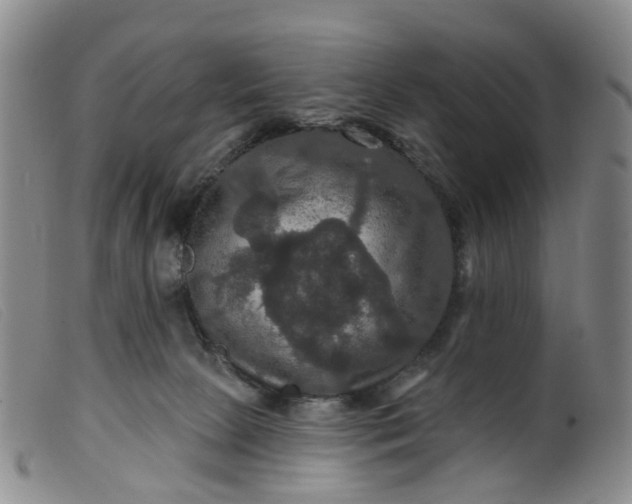 X0000099380081200805221816