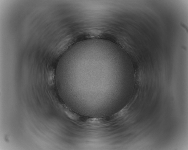 X0000099380082200805221816