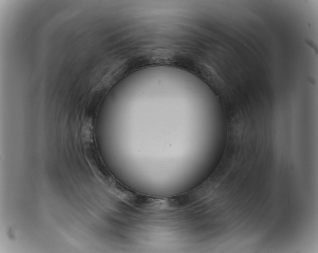 X0000099380083200805221816