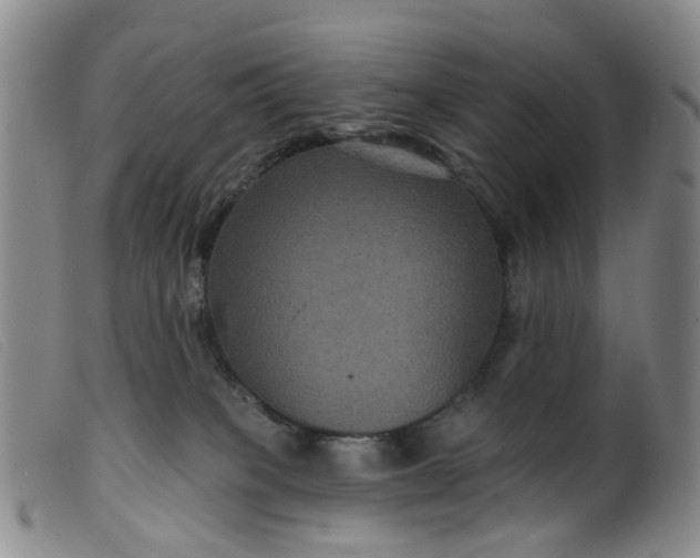 X0000099380085200805221816