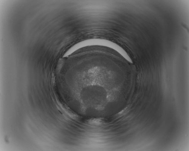 X0000099380086200805221816