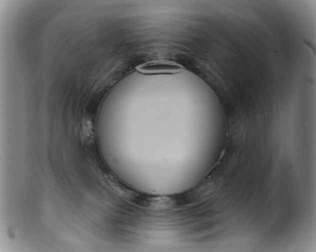 X0000099380087200805221816