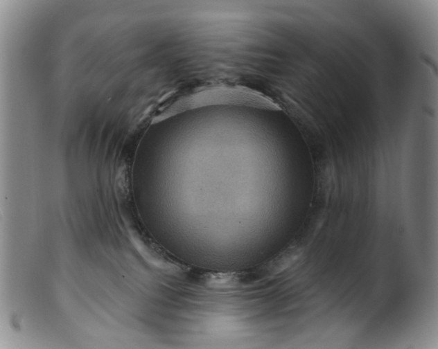 X0000099380088200805221816