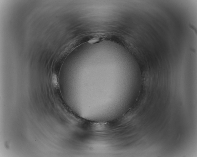 X0000099380089200805221816