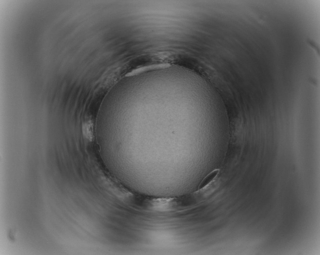 X0000099380090200805221816