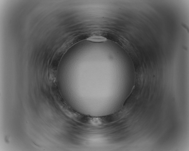 X0000099380091200805221816