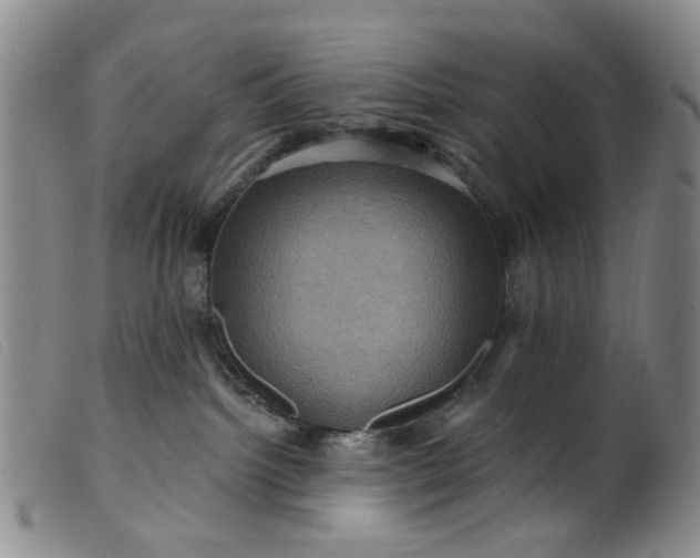 X0000099380092200805221816