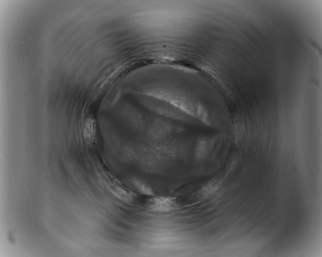 X0000099380093200805221816