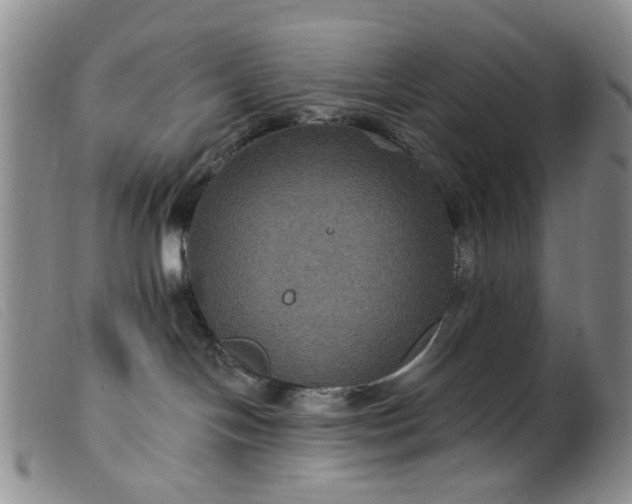 X0000099380094200805221816