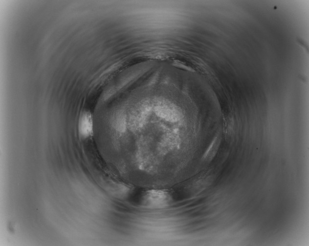 X0000099380095200805221816