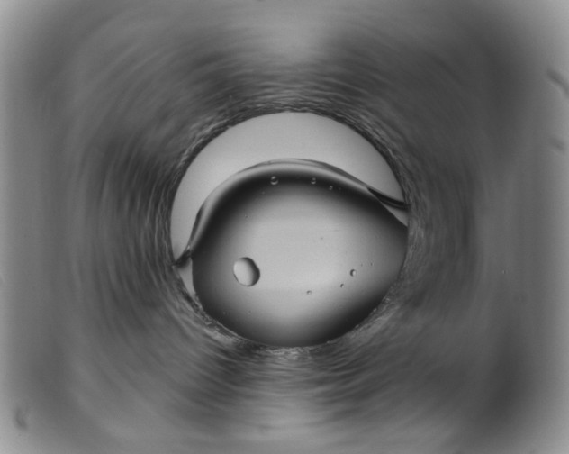 X0000099380096200805221816