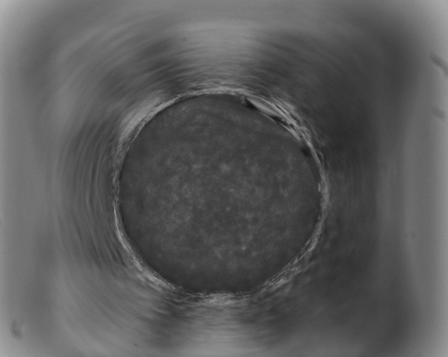 X0000099380097200805221816