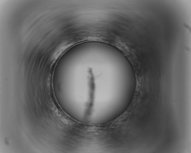 X0000099380098200805221816