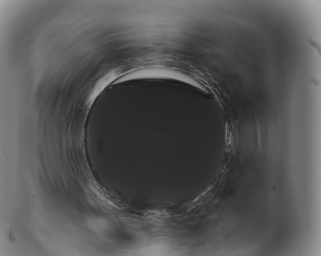 X0000099380099200805221816