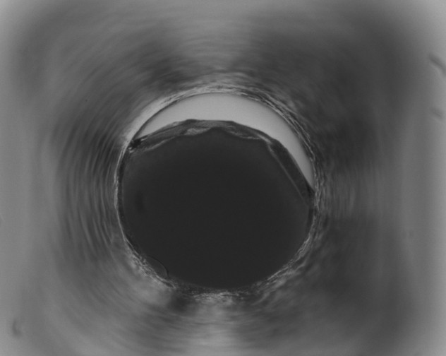 X0000099380100200805221816