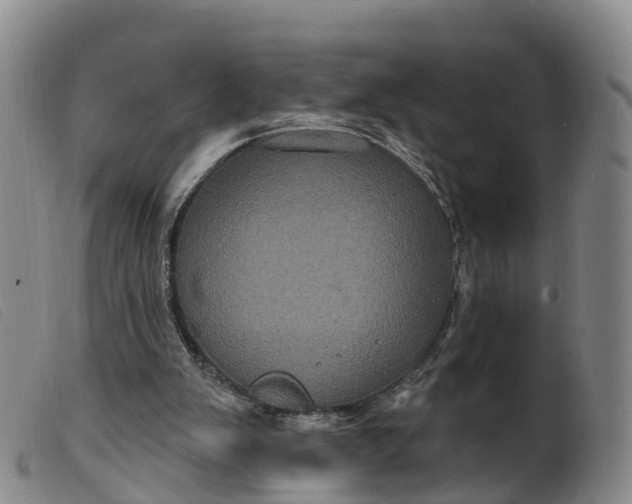 X0000099380103200805221816