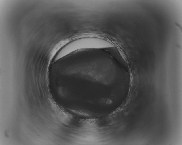 X0000099380104200805221816