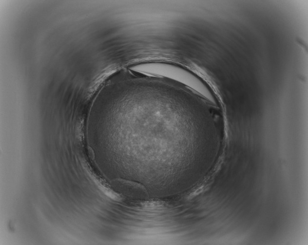 X0000099380105200805221816