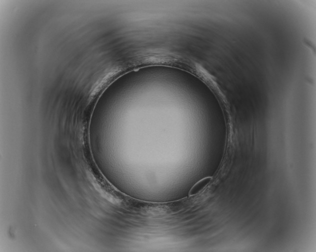 X0000099380106200805221815