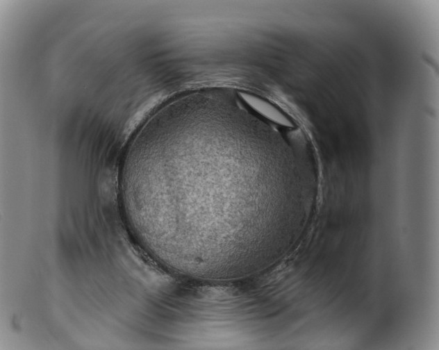 X0000099380107200805221815