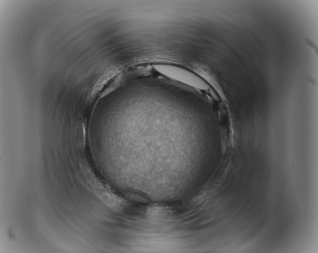 X0000099380109200805221815