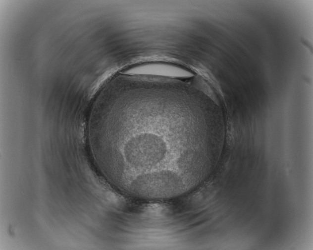 X0000099380111200805221815