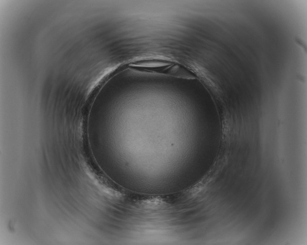 X0000099380112200805221815