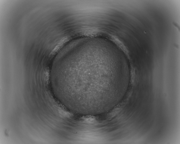 X0000099380113200805221815