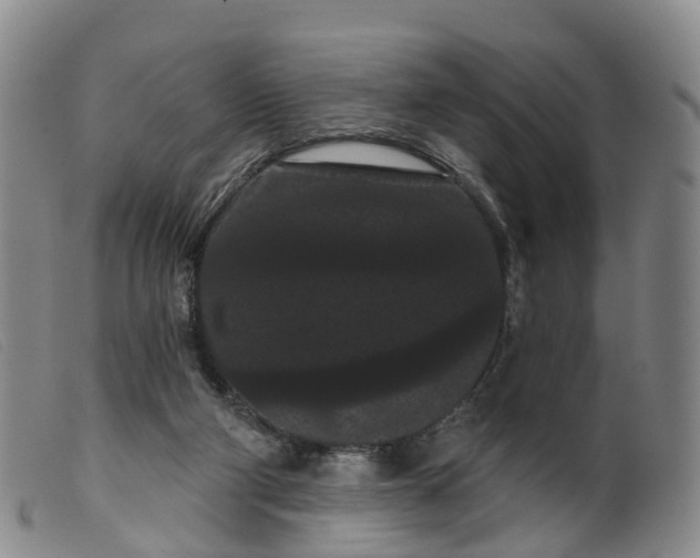 X0000099380114200805221815