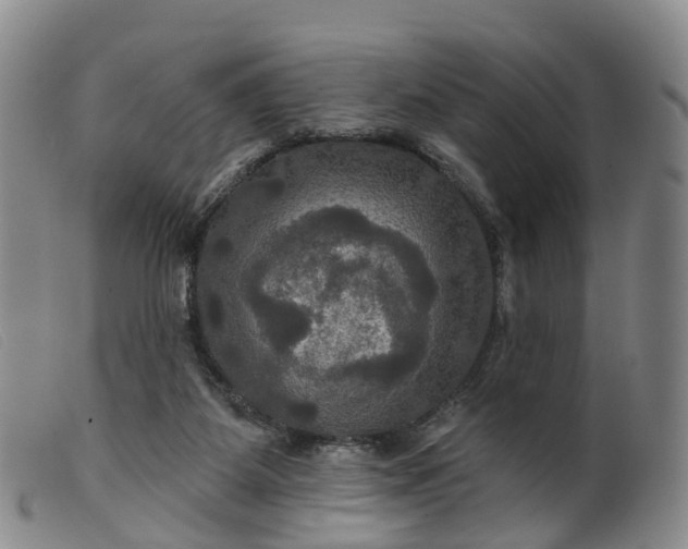 X0000099380115200805221815