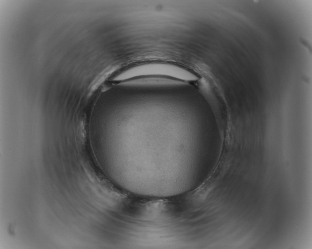 X0000099380116200805221815