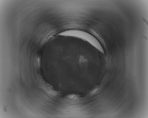 X0000099380117200805221815