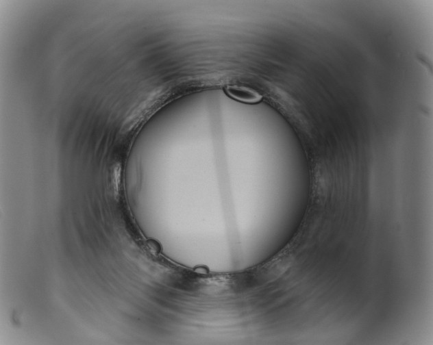 X0000099380118200805221815