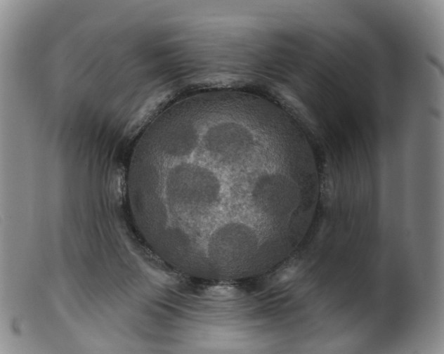 X0000099380119200805221815