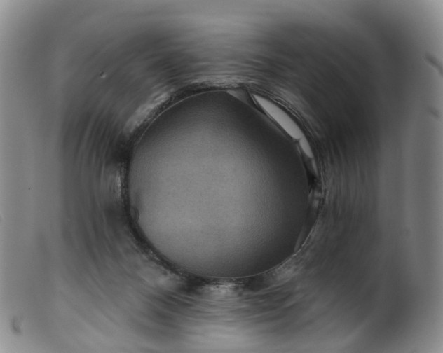 X0000099380120200805221815