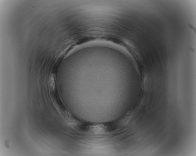 X0000099380121200805221815